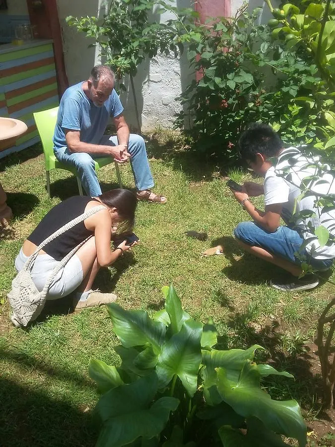 Green Hostel Tirana